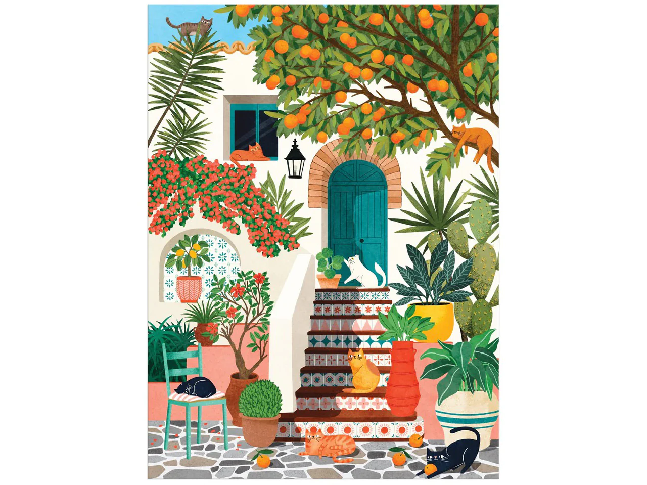 Image du produit 5